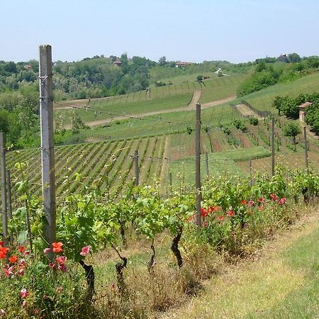 Cascina Rollone Villa Rocchetta Tanaro Dış mekan fotoğraf